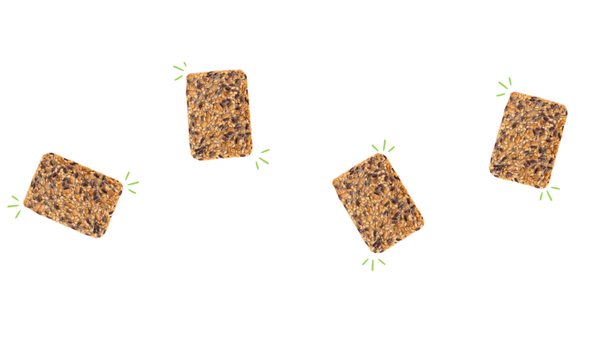 Embracing Change & Celebrating Growth