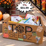 Halloween Treat Box | 30 Assorted Snack Packs