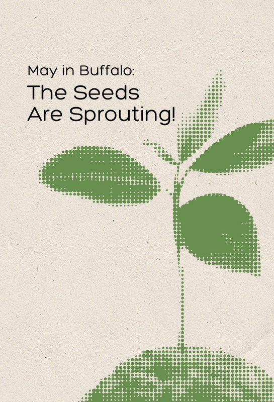 May in Buffalo: The Seeds Are Sprouting. Read Rebecca Brady's May 2025 Blog.