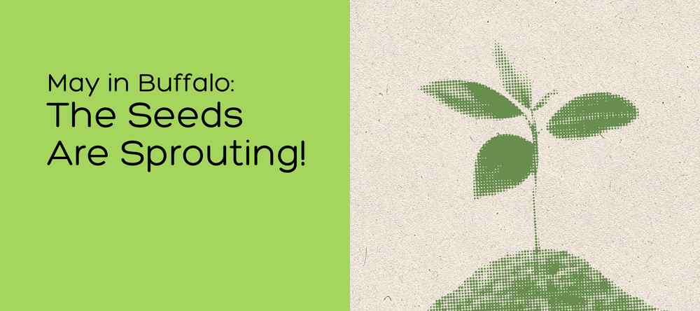 May in Buffalo: The Seeds Are Sprouting. Read Rebecca Brady's May 2025 Blog.